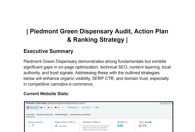 website seo audit with action plan and competitive analysis